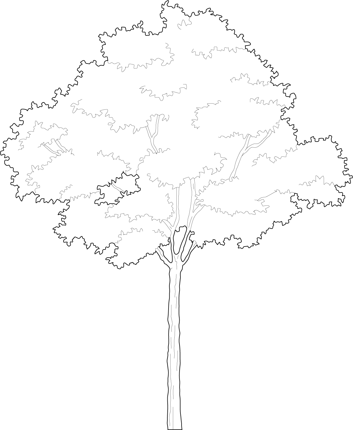 Small tree that probably gives fantastic shade during hot days dwg trees